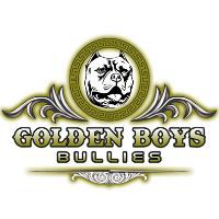 Some of Our Clients | Golden Boys Bullies